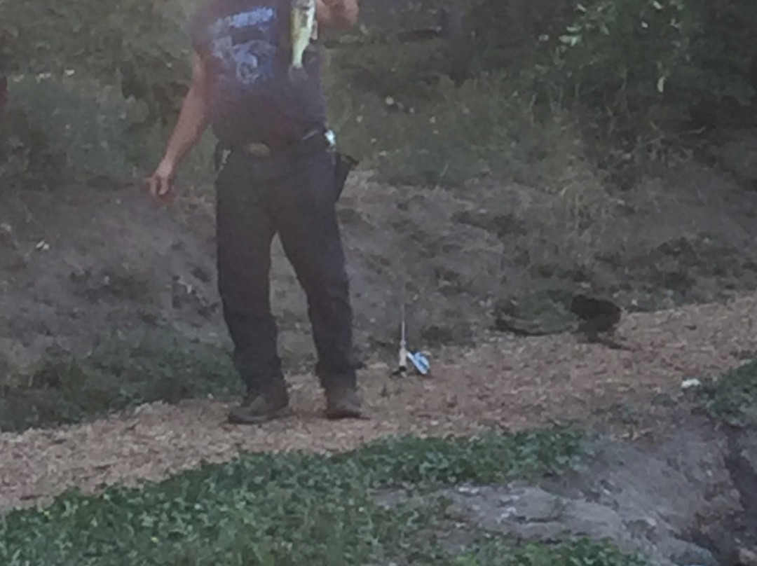 Reinhart Volunteer Park-格兰茨帕斯必去景点