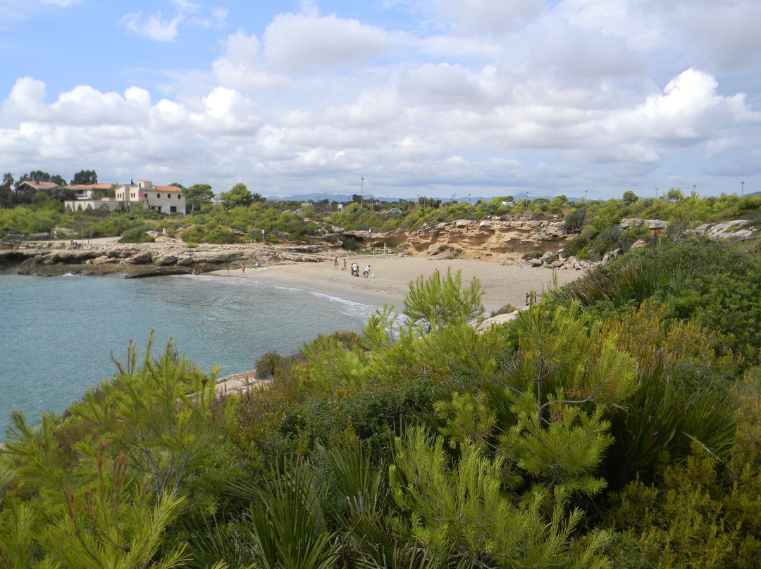 Cala Vidre景点图片