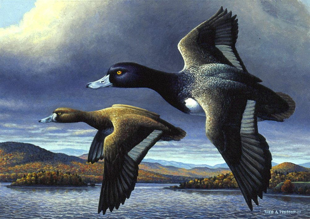 Prescott Galleries-Bristol必去景点