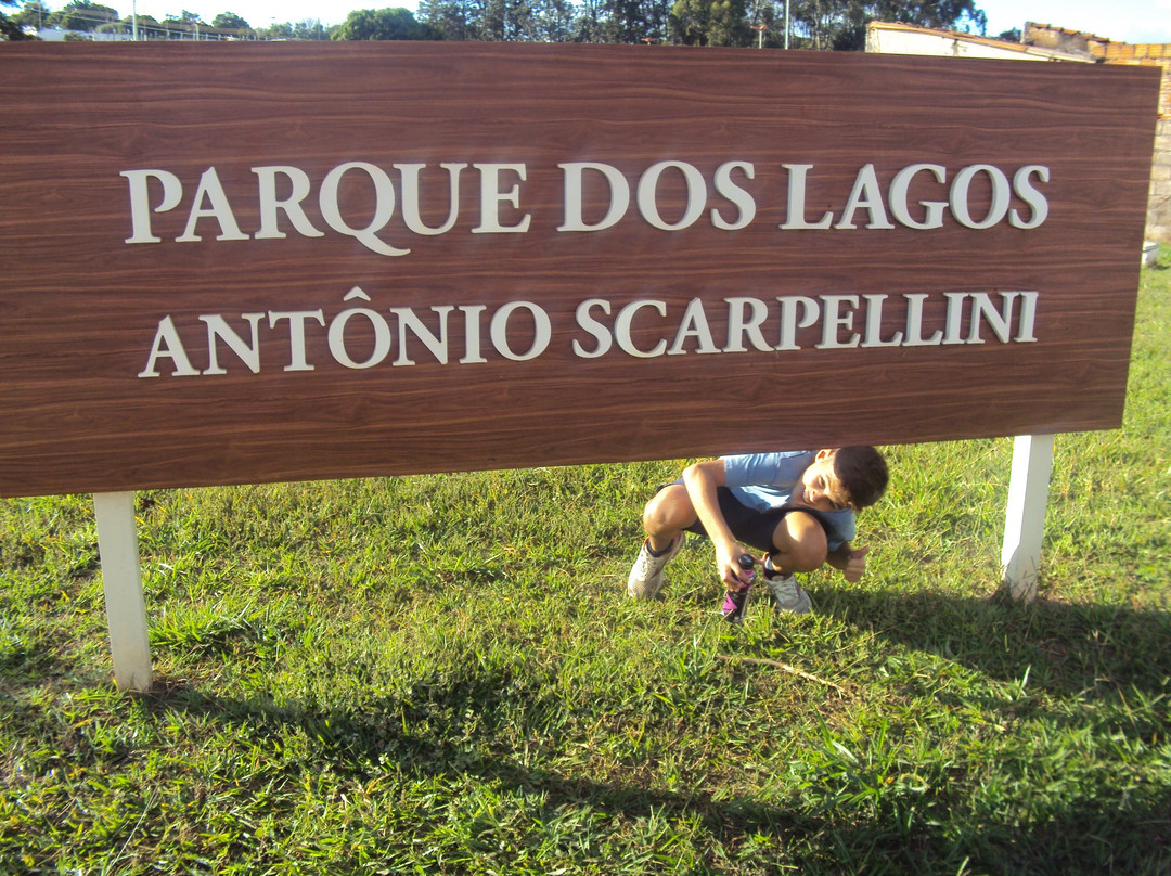 Parque dos Lagos Antônio Scarpellini景点图片