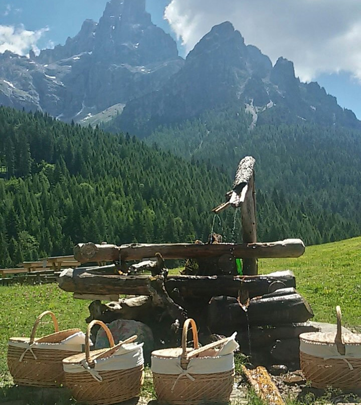 Il Bosco dei Sogni景点图片