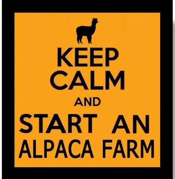 Destiny Alpaca Farm-Young Harris必去景点