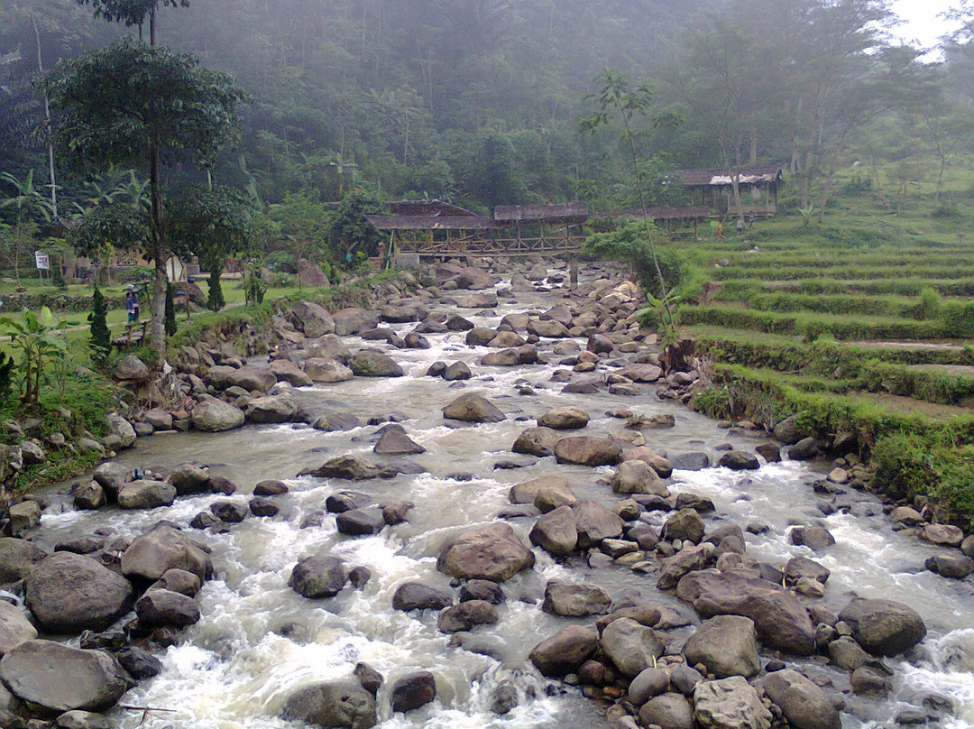 Tujuh Bidadari Waterfall景点图片