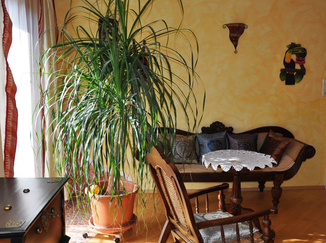 Gästehaus Wachau主图