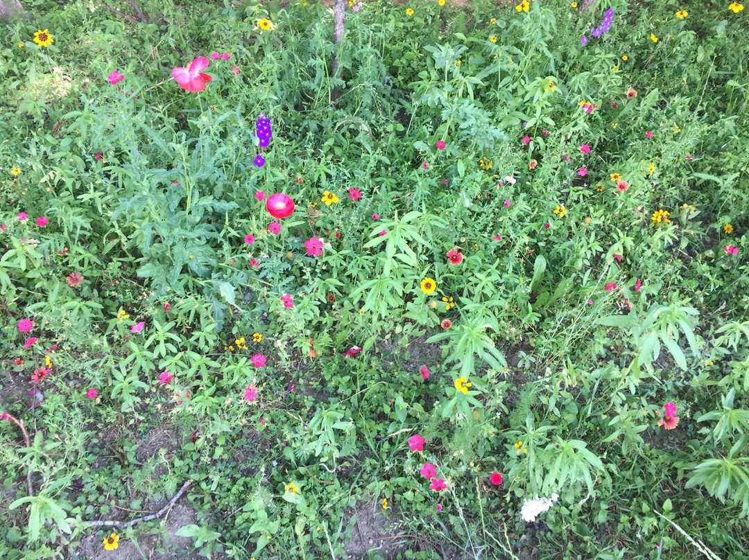 自行车行-达拉斯必去景点