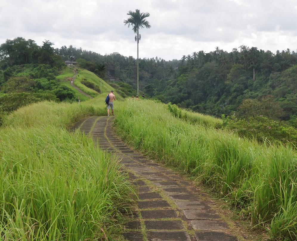 Cattra Bali - Private Tours-登巴萨必去景点