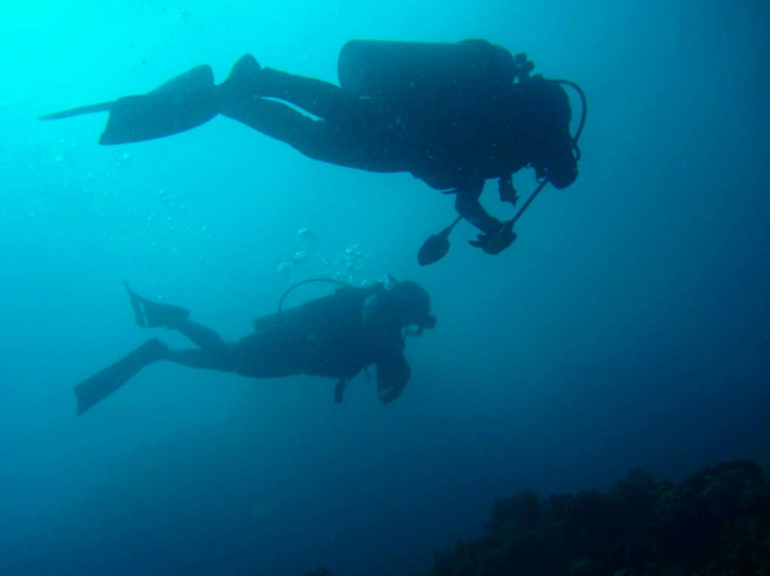 South Shore Divers-达沃必去景点