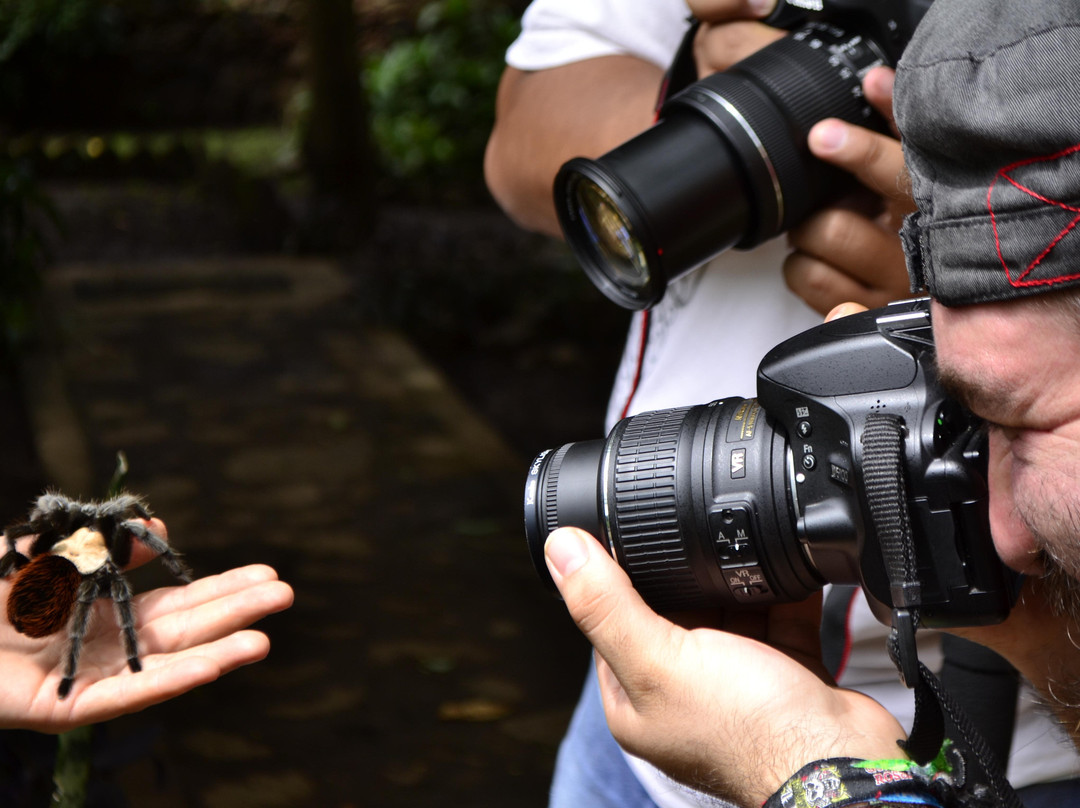 Museo Vivo-Malinalco必去景点