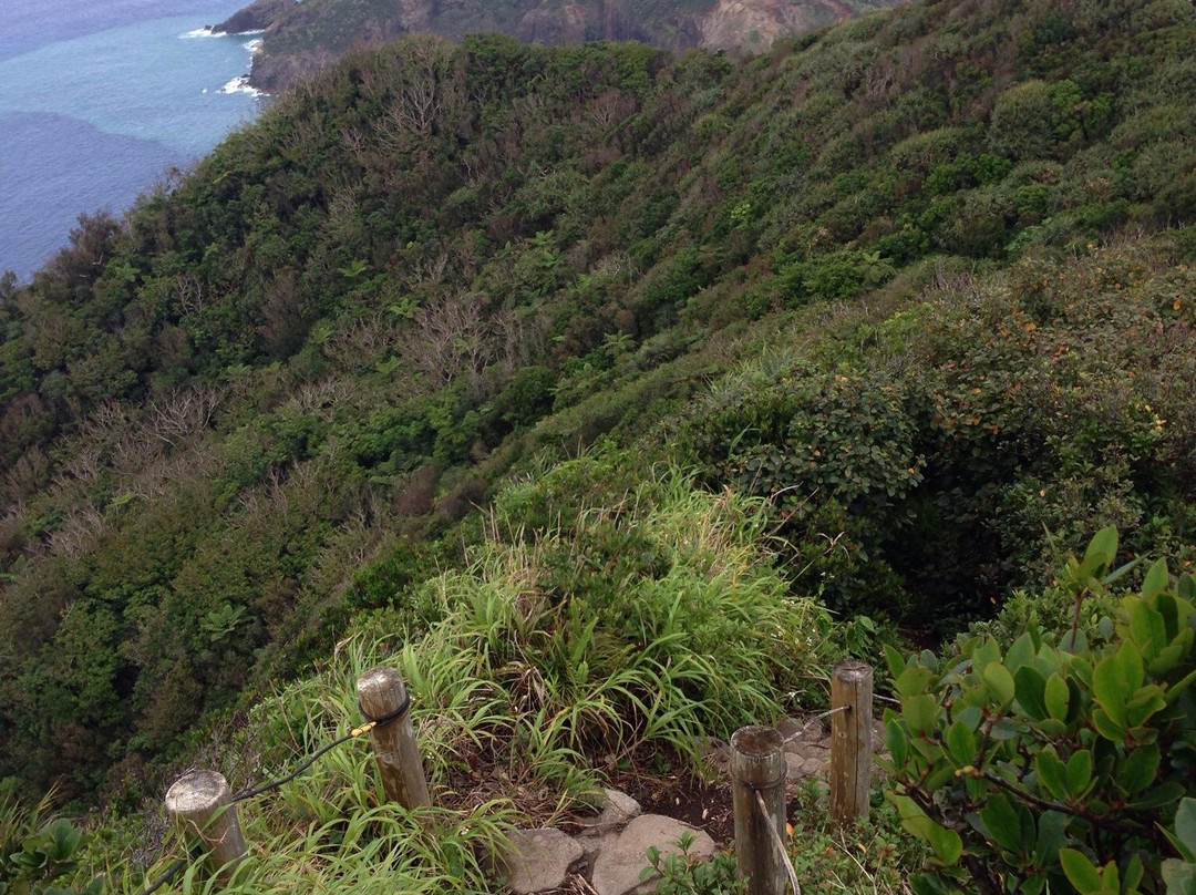 Mt. Chibusa-小笠原村必去景点