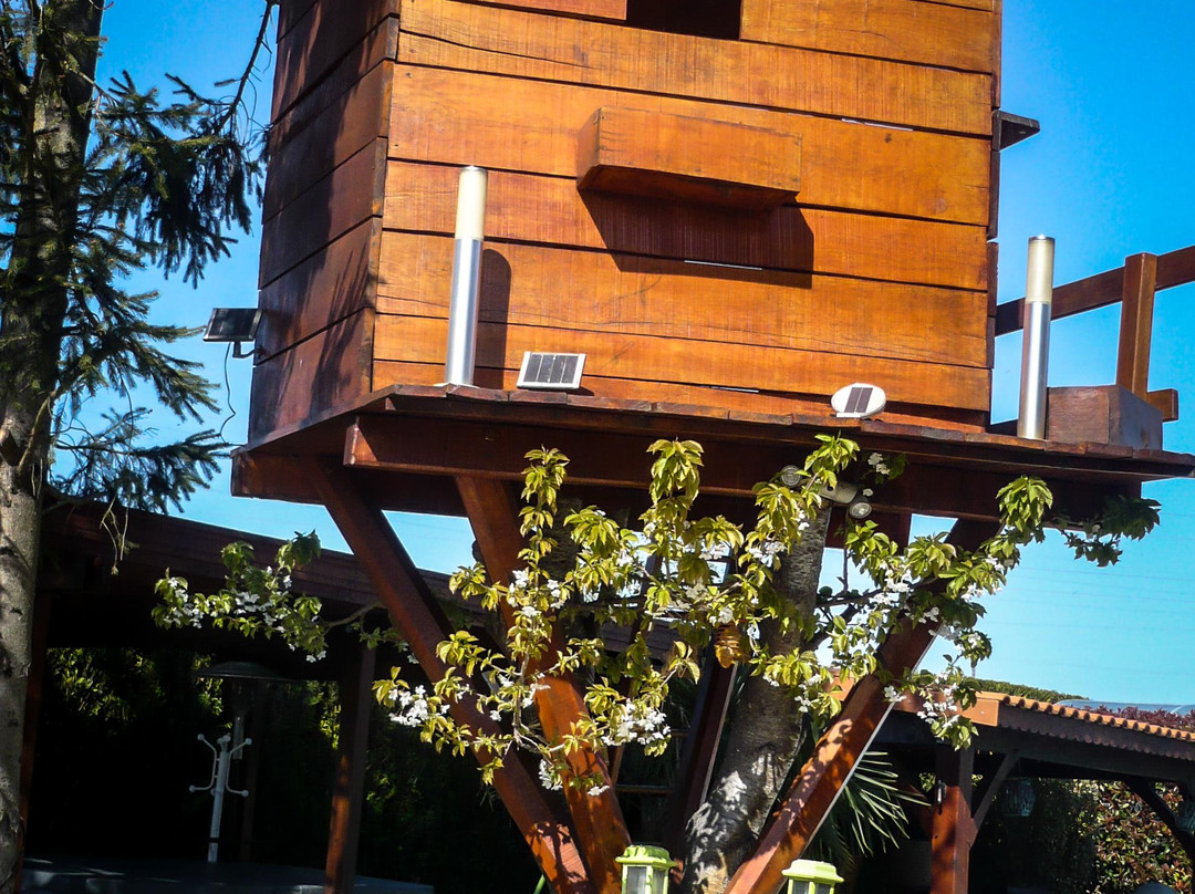 Maison d'Hotes du Colombiers主图