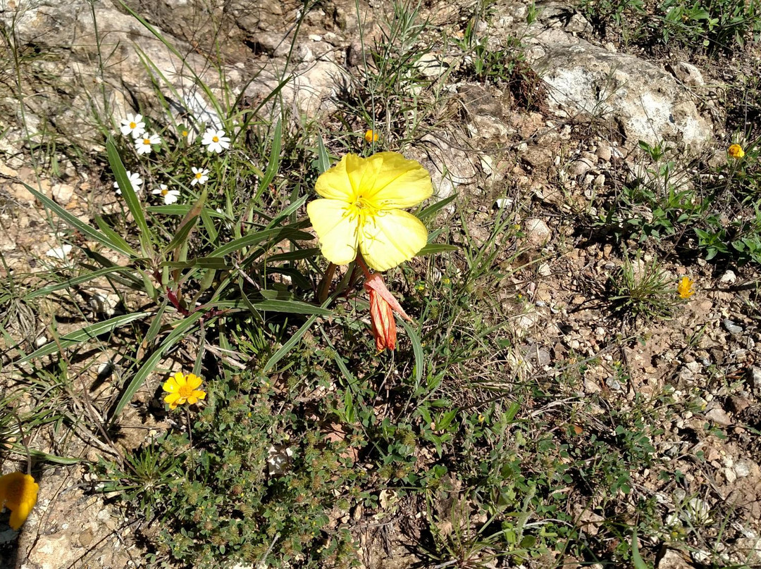 Cross Mountain Park-弗雷德里克斯堡必去景点