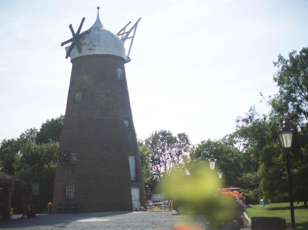 Wymondham Windmill景点图片