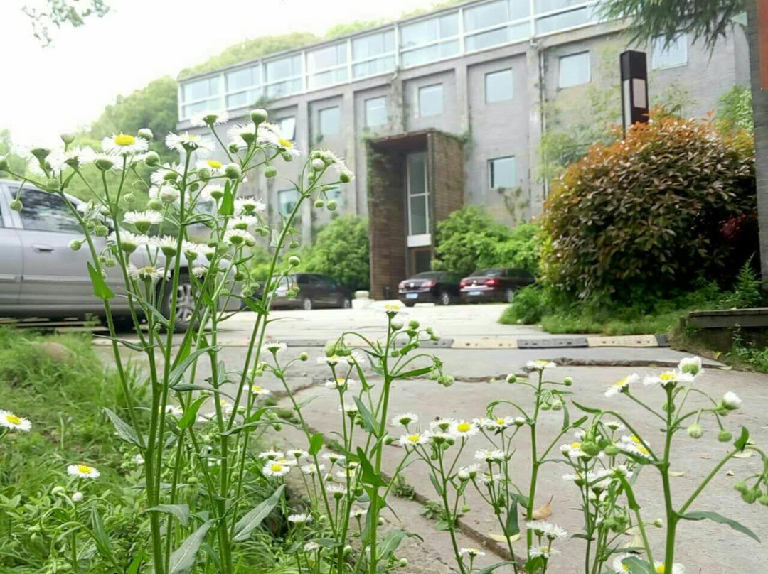 凤凰山庄艺术酒店主图