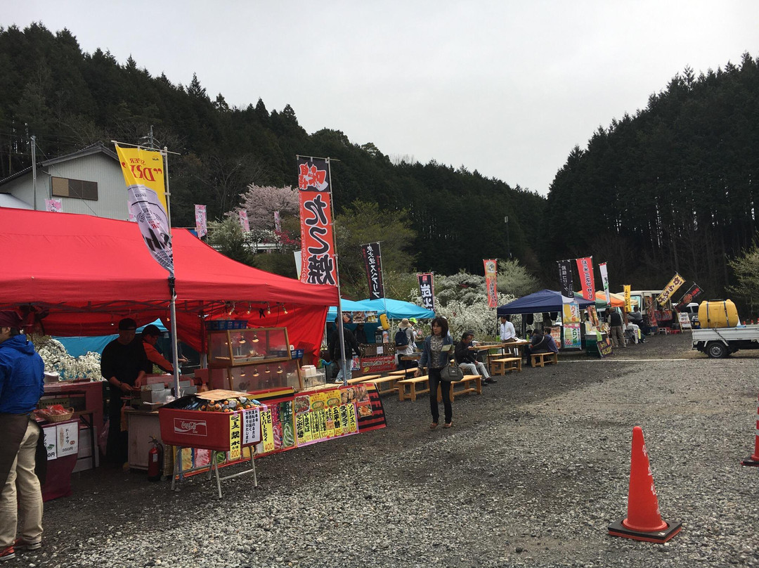 Kaminakano Shidaremomo-丰田市必去景点