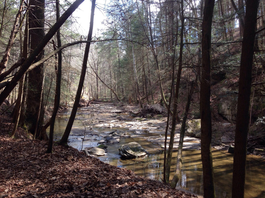 Little Creek Park-South Charleston必去景点