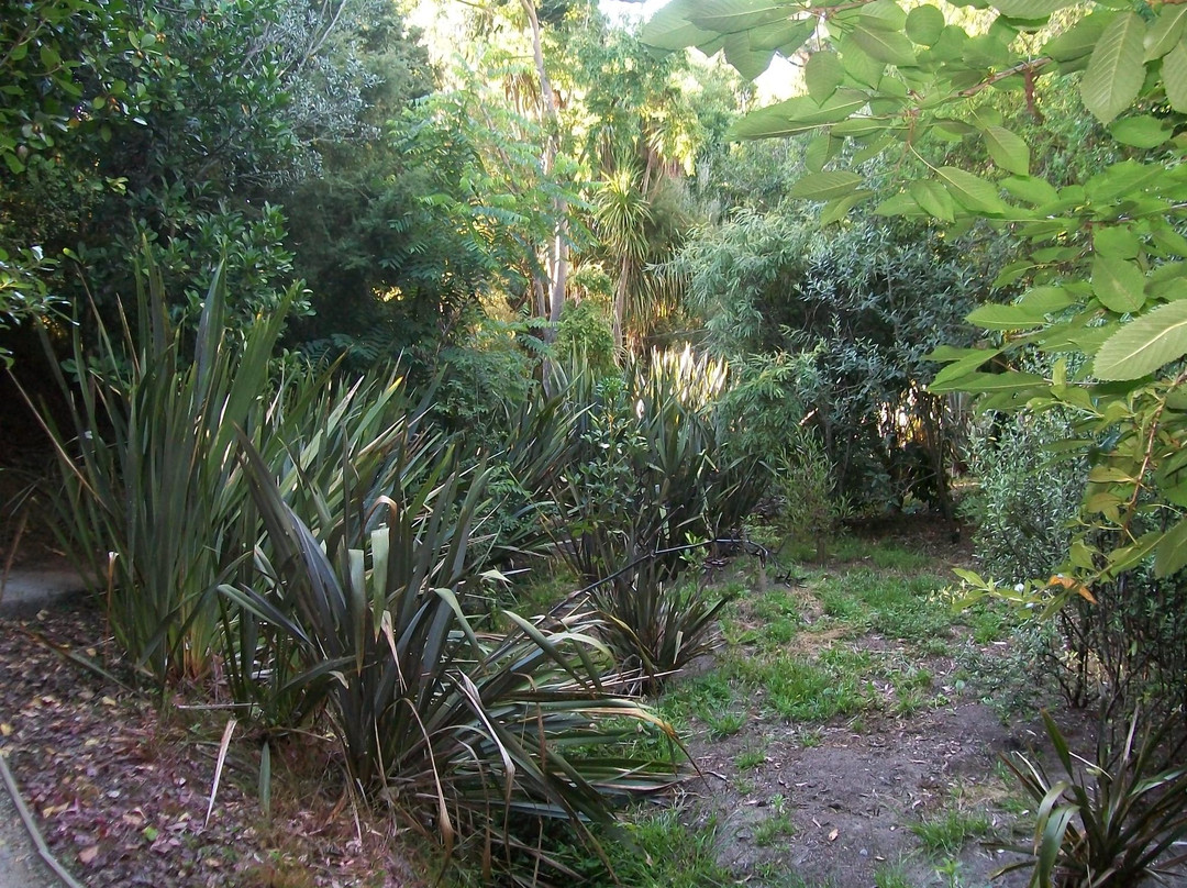 Karituwhenua Stream Walkway景点图片