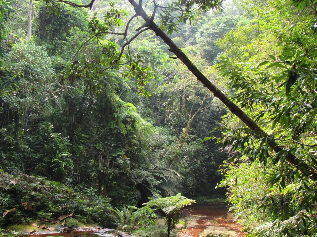 Clearwater Connection-姆鲁国家公园必去景点