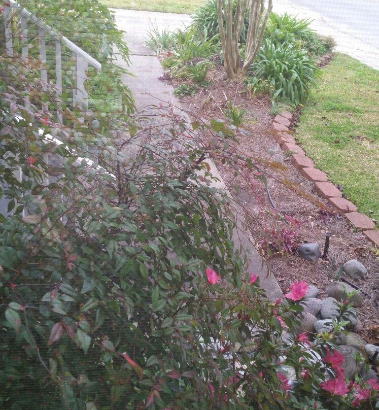 Aunt Ruby's Bed and Breakfast主图