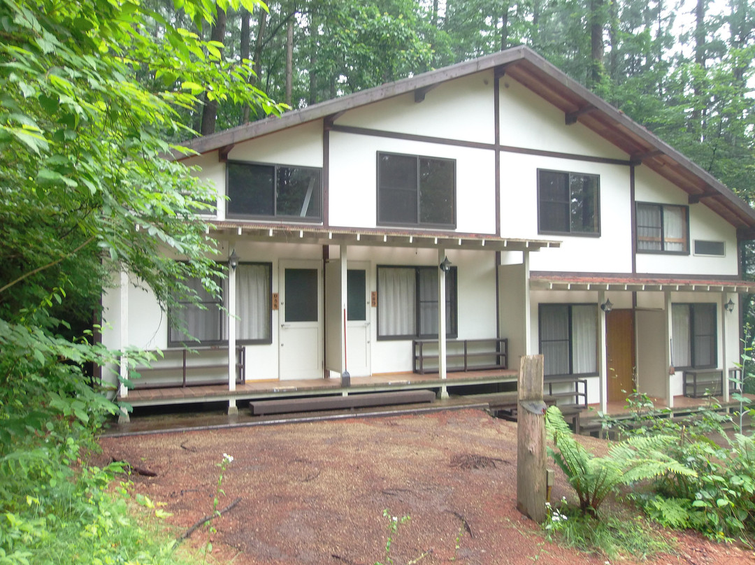 Sky Sun Camp Forest