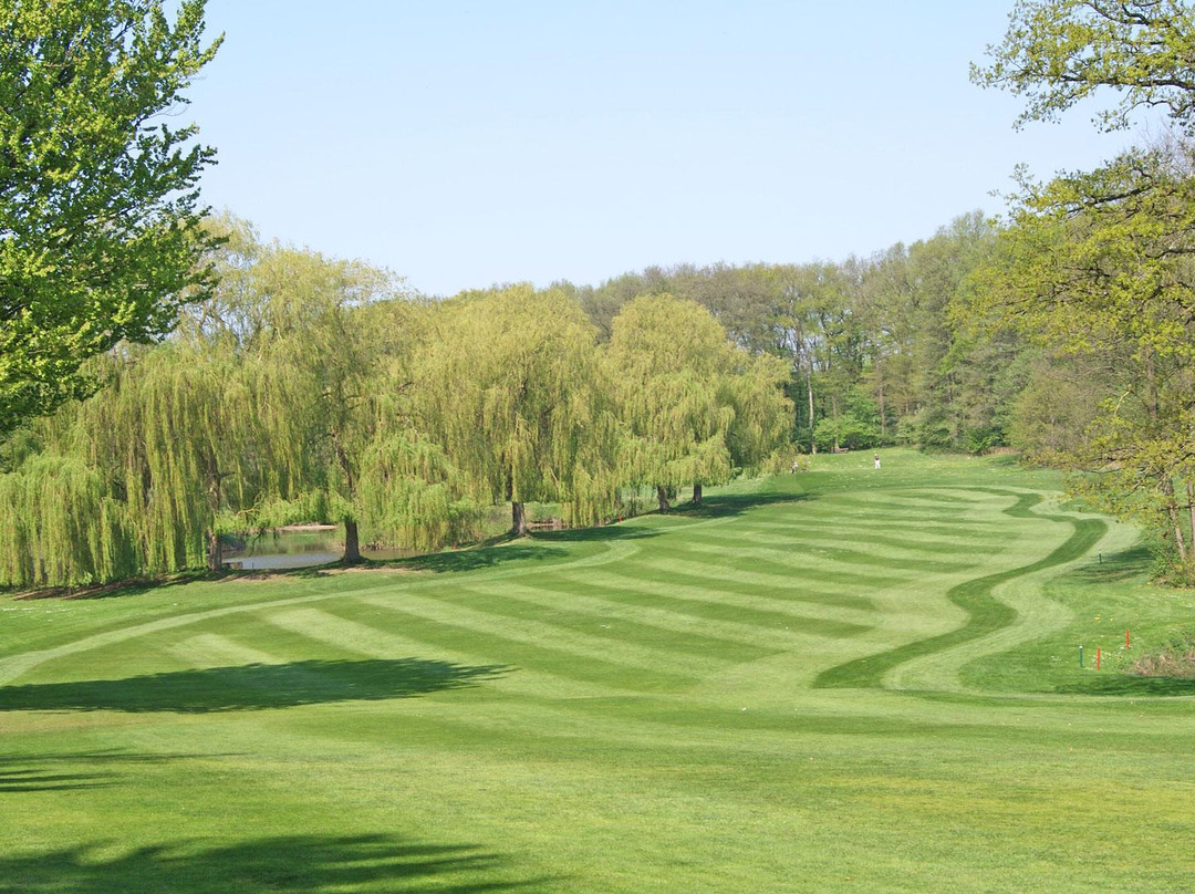Golfclub Gut Waldhof景点图片