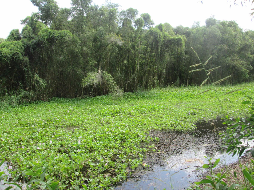 Gao Giong Eco-tourism Park-Cao Lanh必去景点