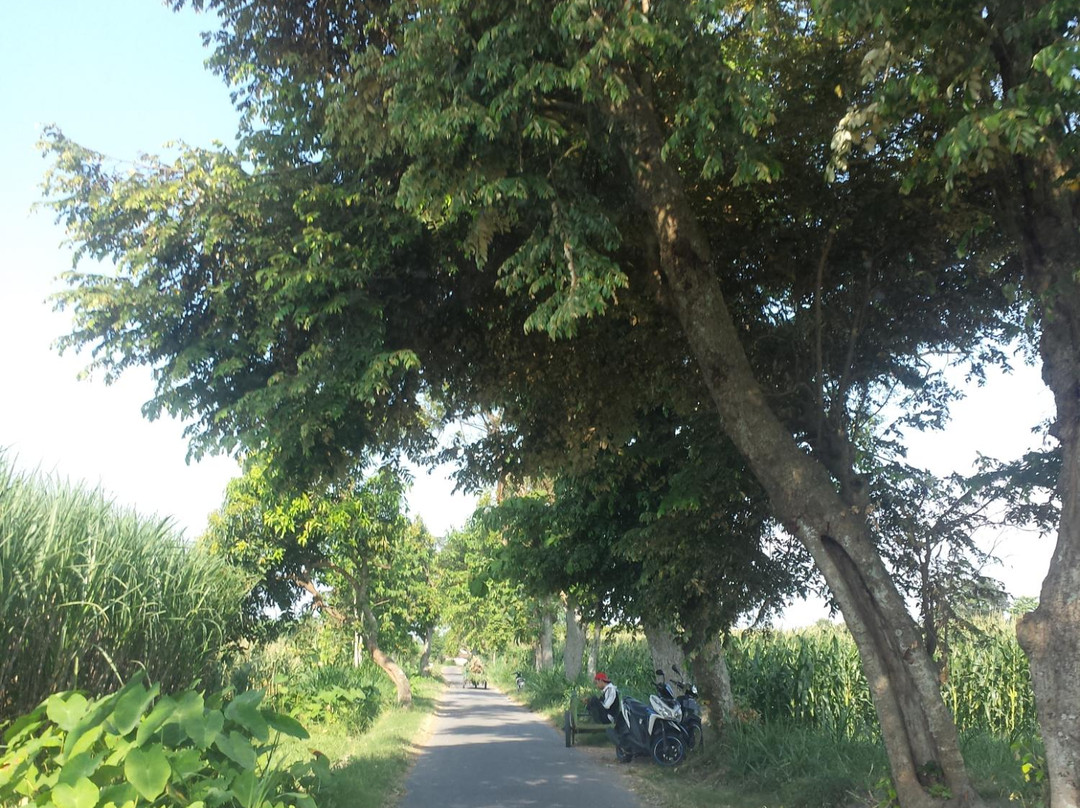 Sendang Tirta Kamandanu-谏义里必去景点