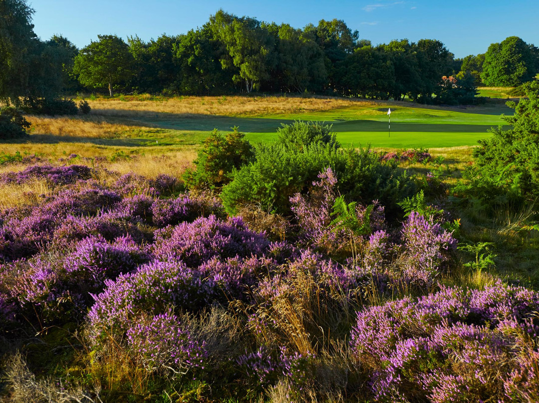 Woodbridge Golf Club-Woodbridge必去景点