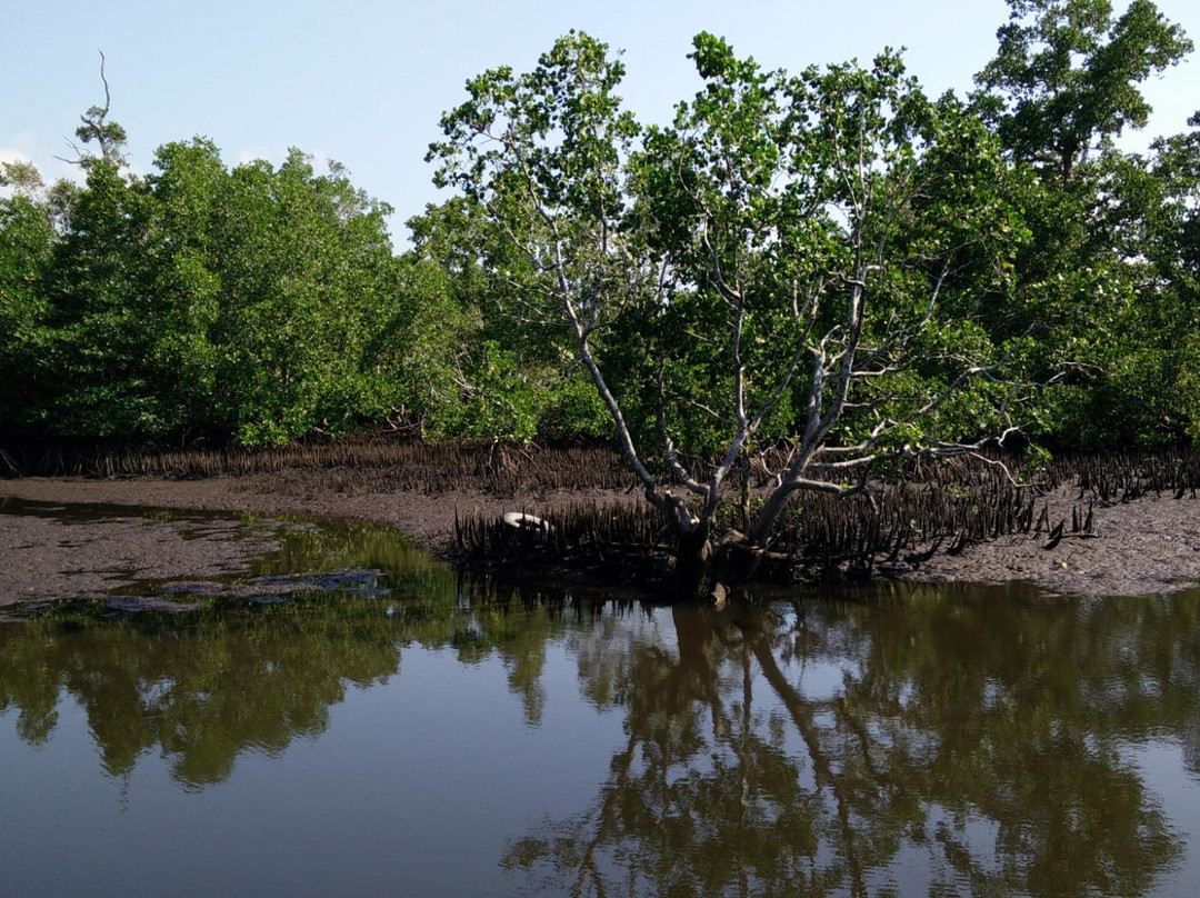 Lake Wasti-曼诺瓦里必去景点