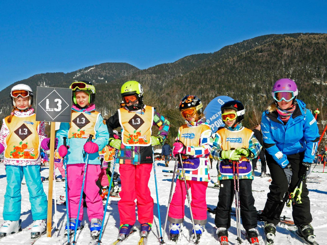 SkiSchool.si Kranjska Gora-Kranjska Gora必去景点