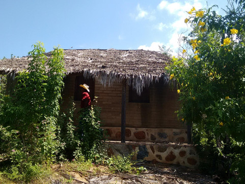 Sierra de la Laguna Mountains-洛斯卡布斯必去景点