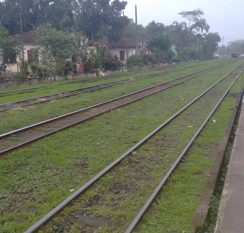 Estacao Ferroviária景点图片
