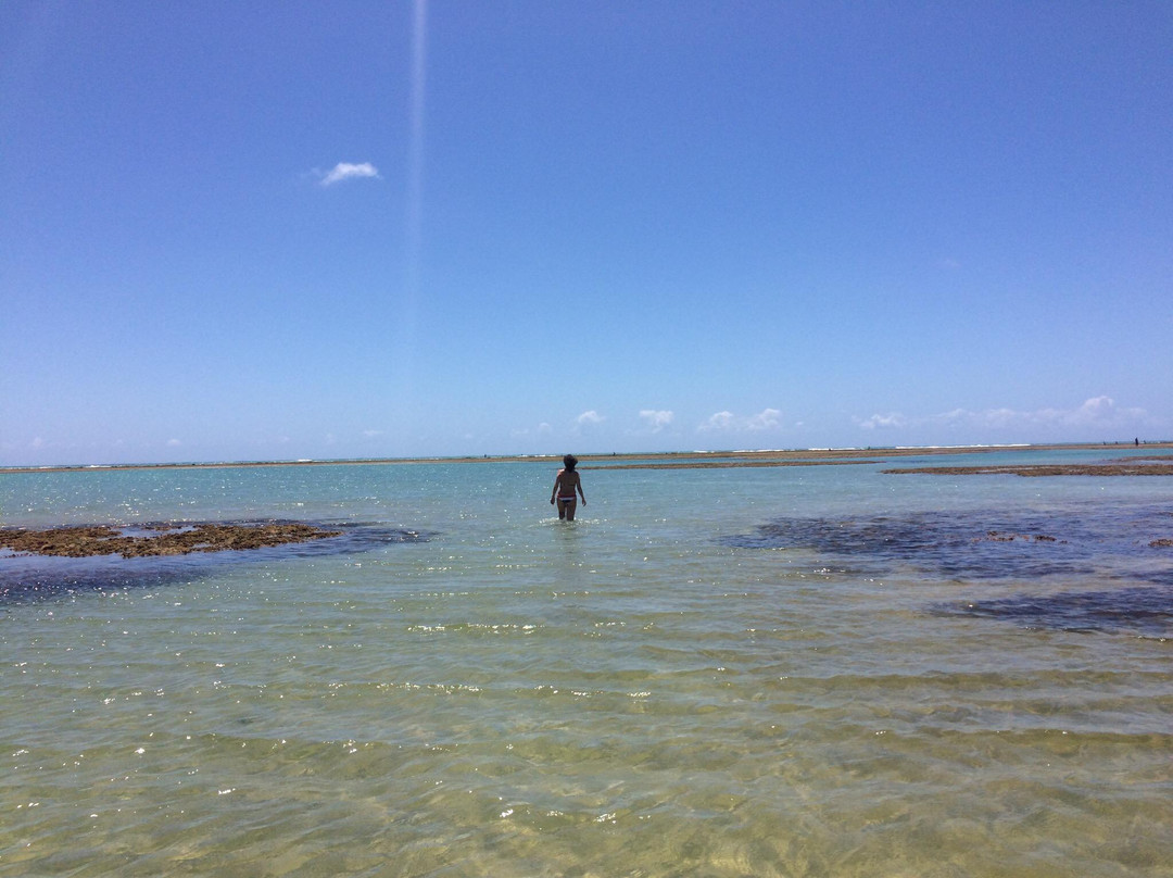 Peroba Beach-Maragogi必去景点