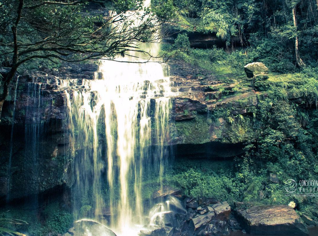 Bosque Berlín-Bagua Grande必去景点