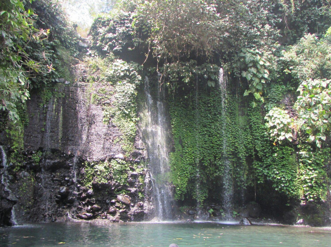 Cibedil Waterfall景点图片