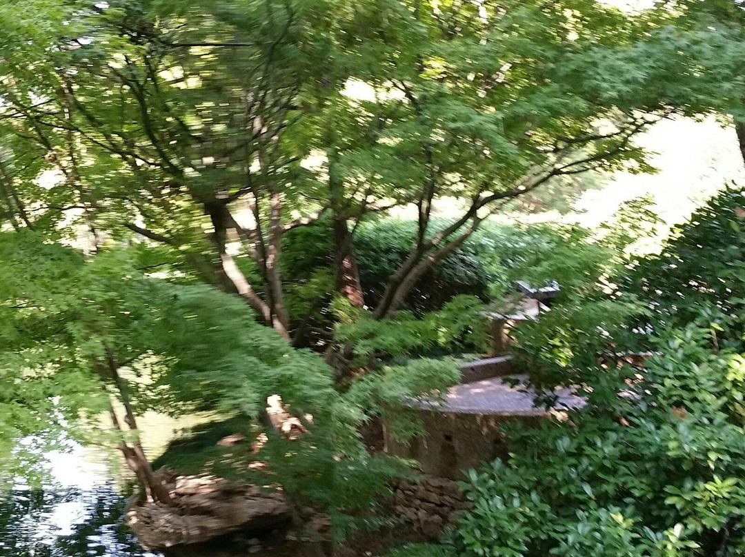 Fort Worth Japanese Garden-沃思堡必去景点