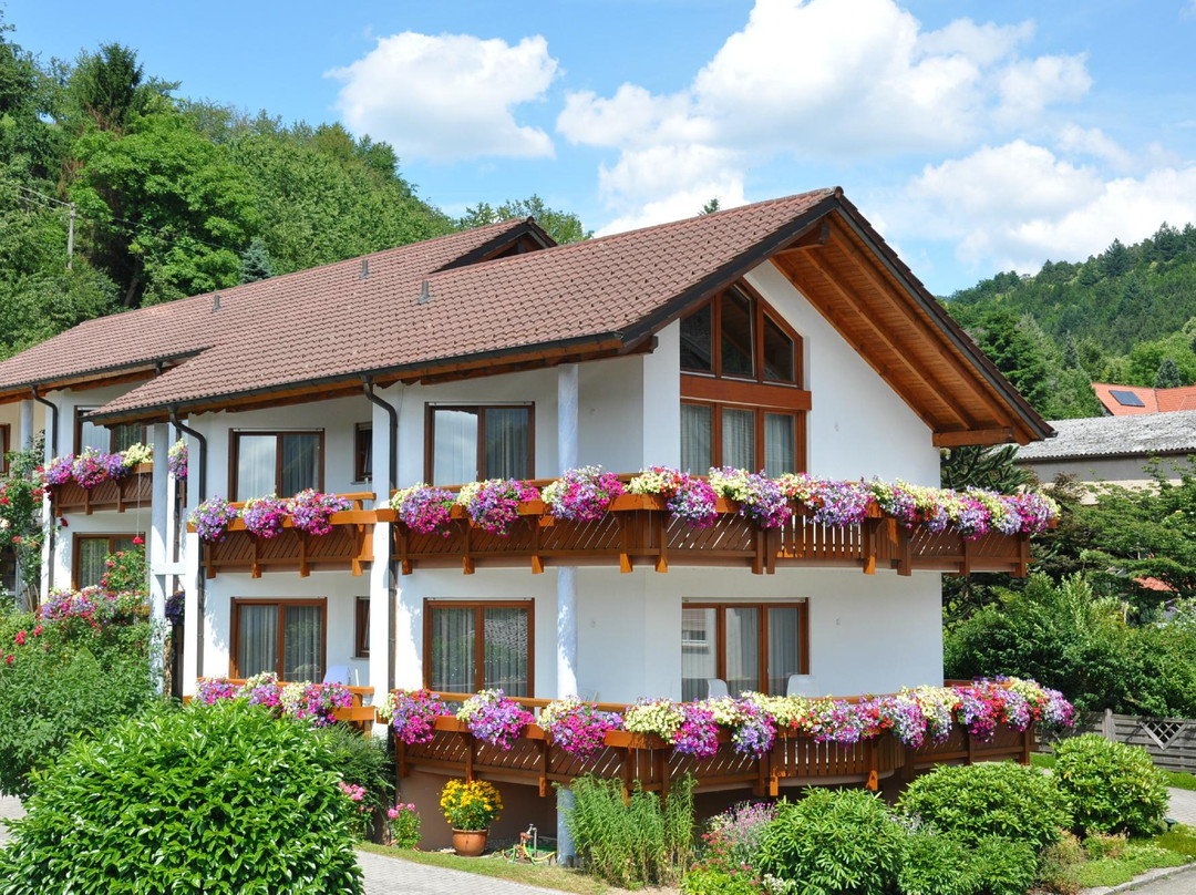 Seebach酒店住宿-Hotel - Pension Breig