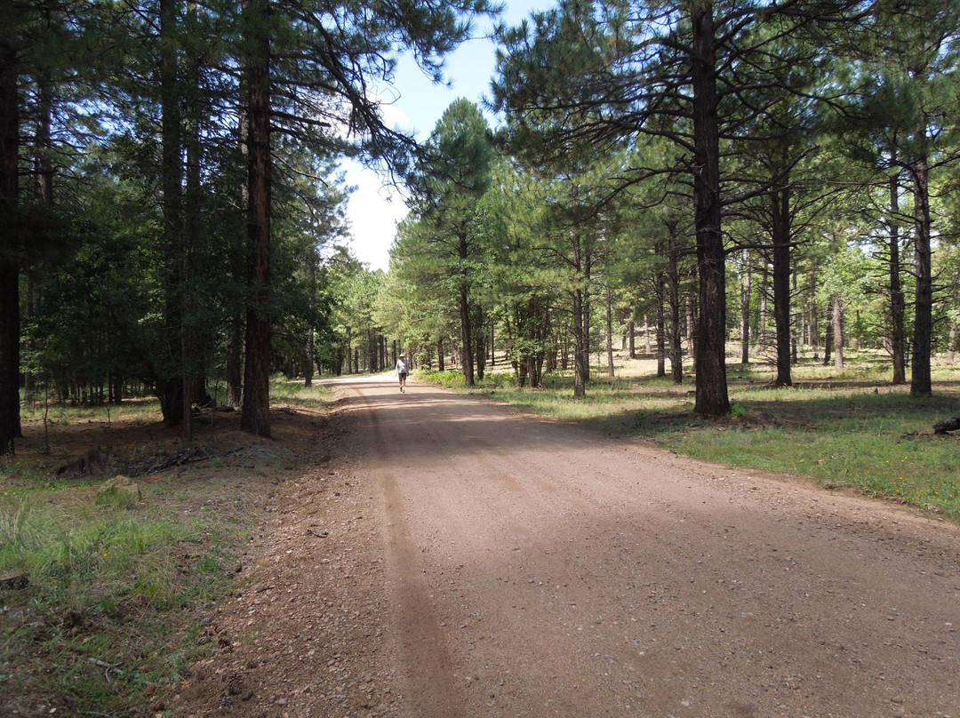 Country Club Trail-Pinetop-Lakeside必去景点