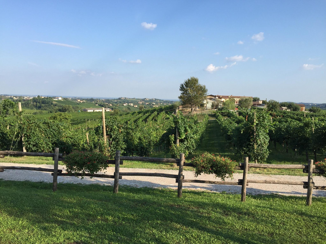 Agriturismo Moro Barel