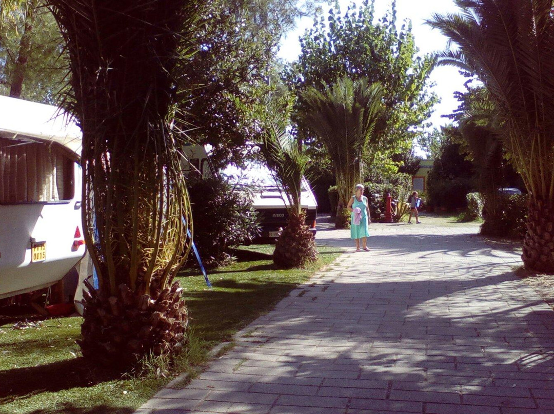 Camping Don Diego