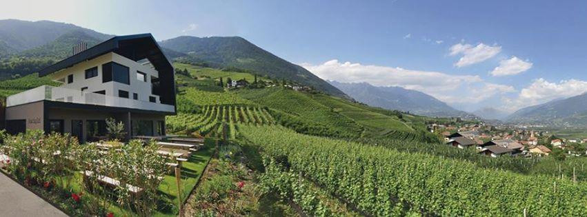 Cermes餐馆和美食-Bachgütl