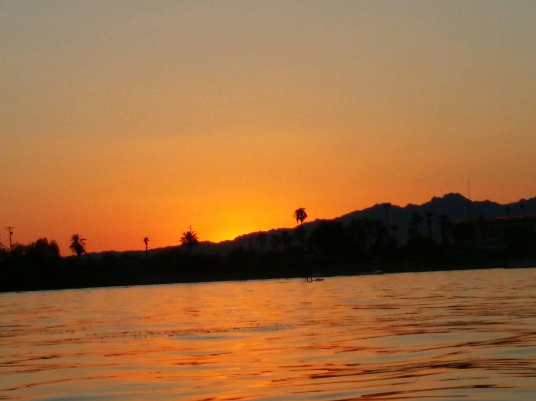 Rotary Community Park-哈瓦苏湖城必去景点