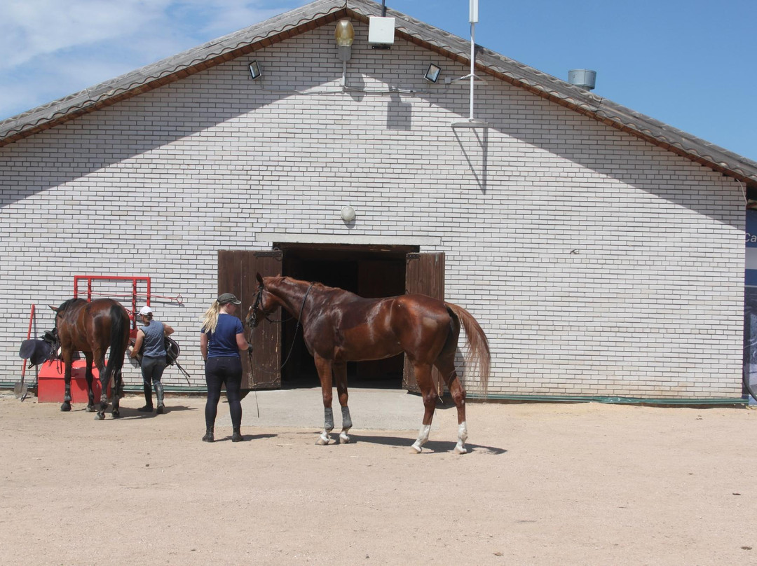 Novotyryshkino Museum Complex-Novotyryshkino必去景点