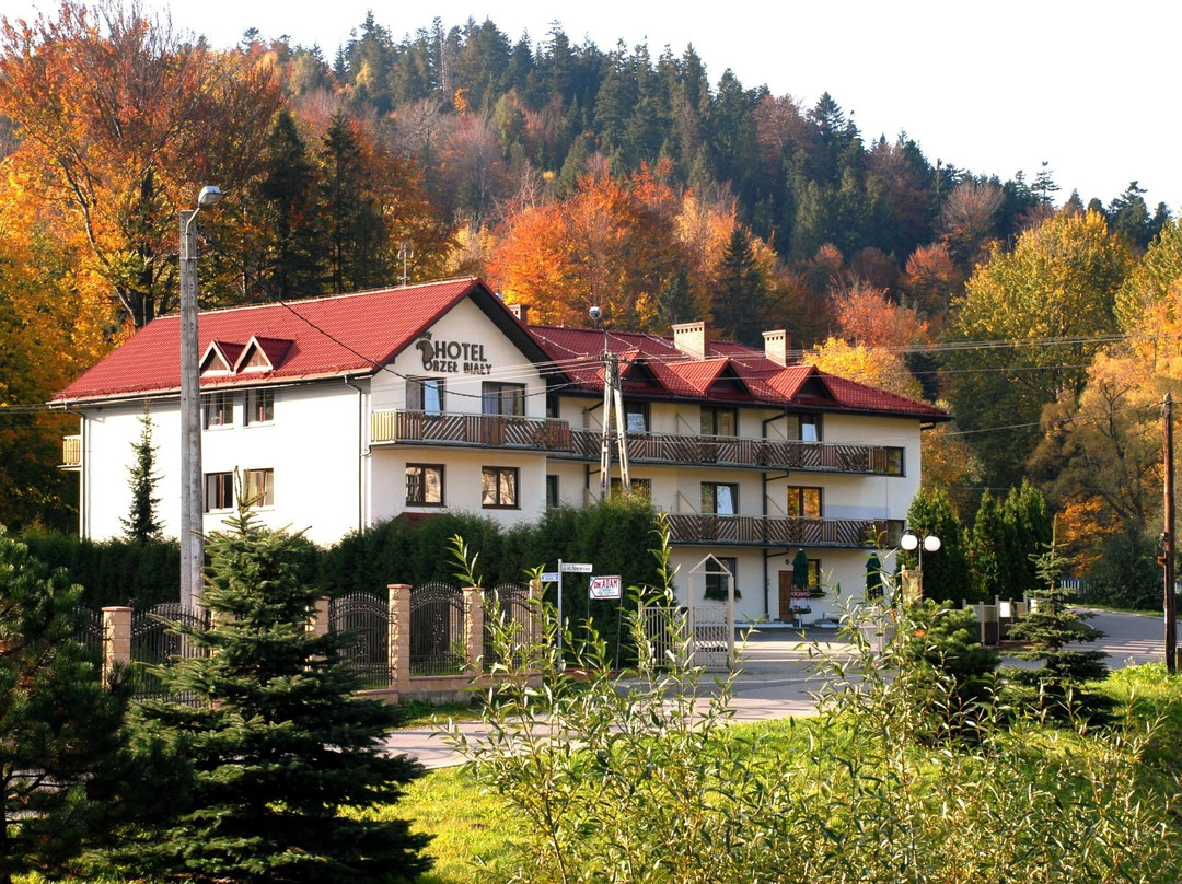 Pensjonat Belvedere