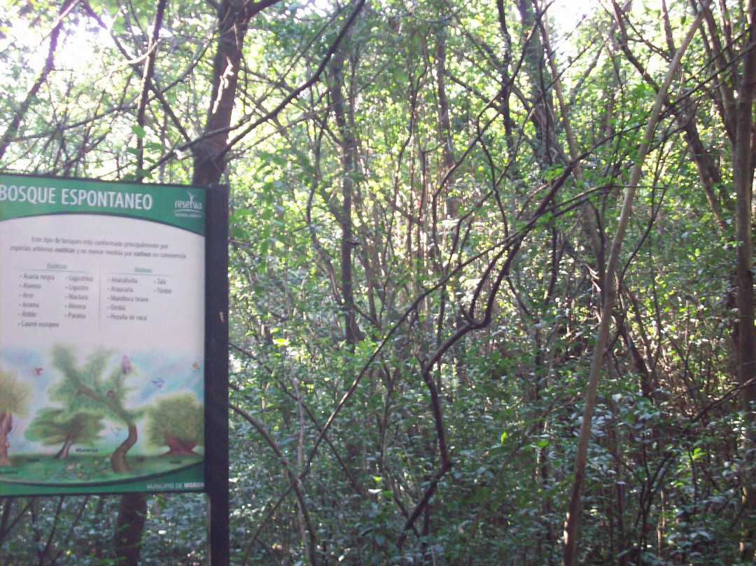 Reserva Natural Urbana景点图片
