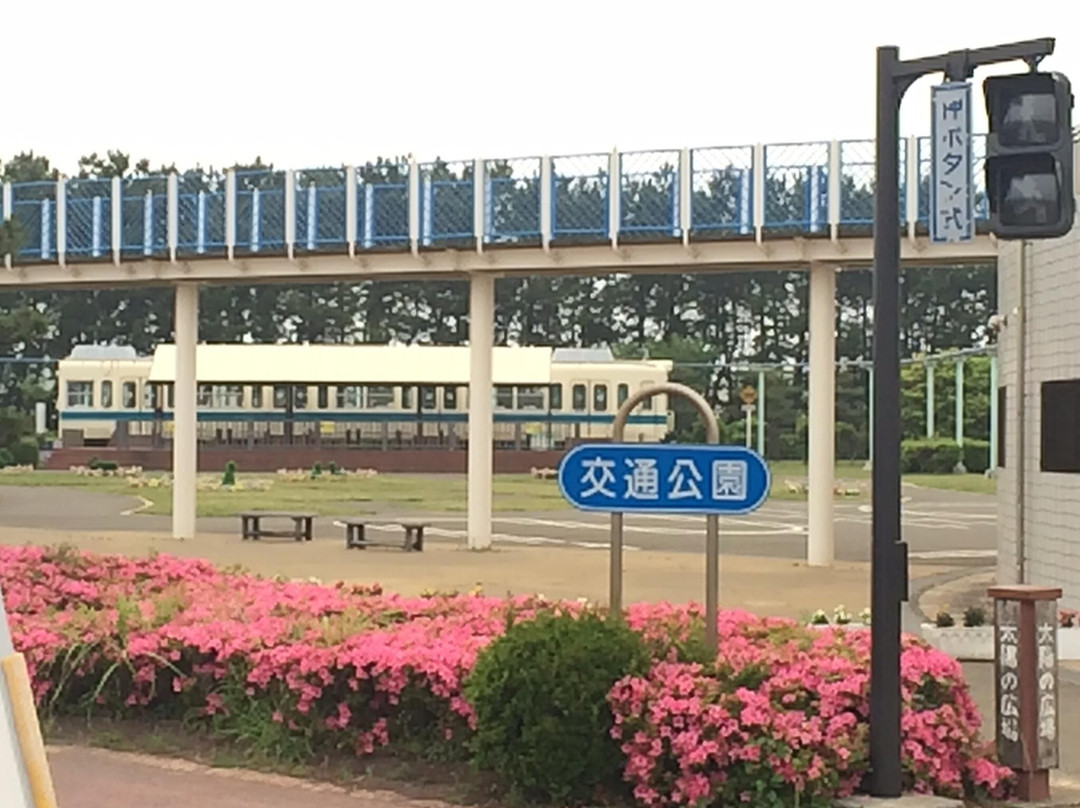 Tsujido Kaihin Park-藤泽市必去景点