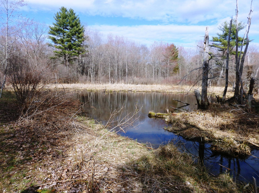 Great Bay National Wildlife Refuge景点图片