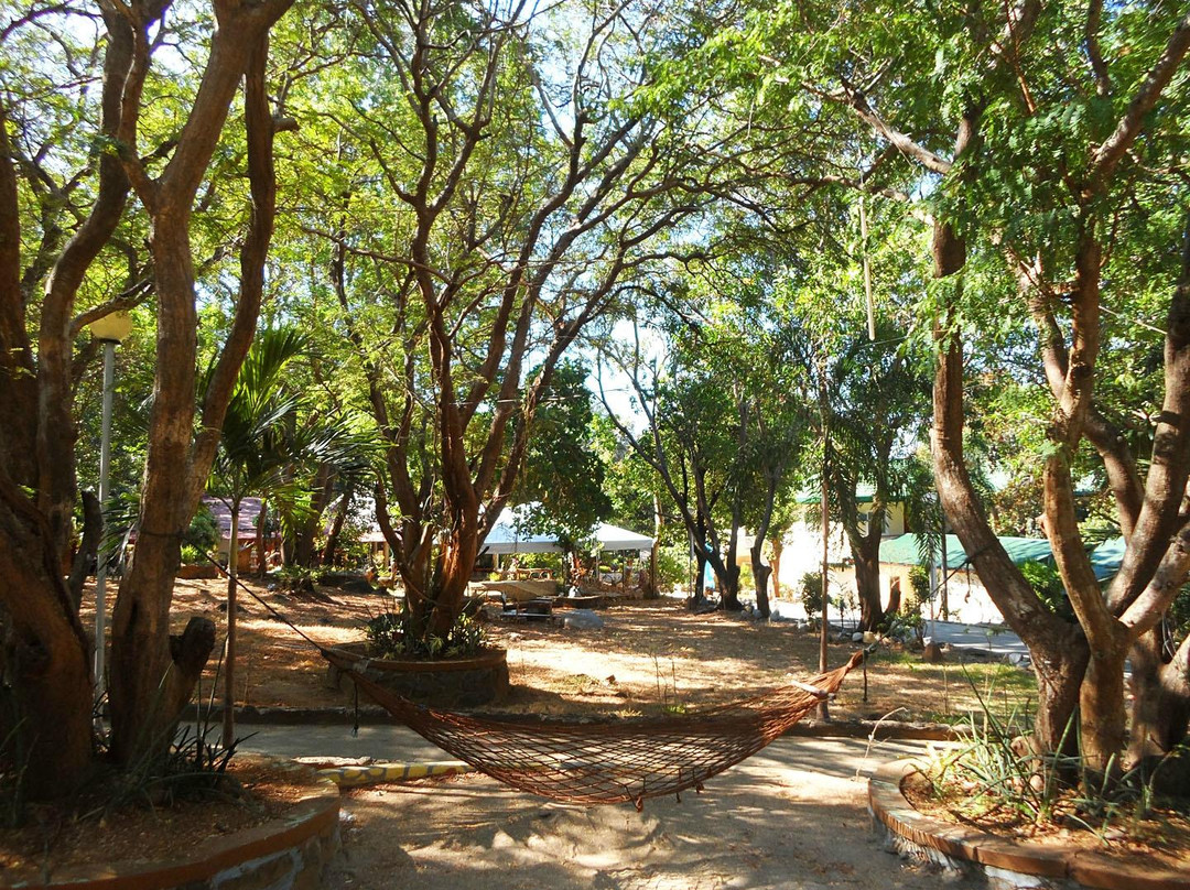 Vista Venice Resort主图