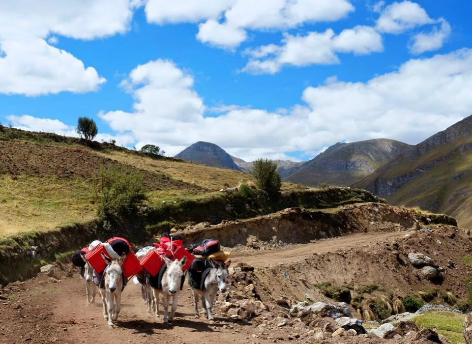 Andean Condor Voyager-瓦拉斯必去景点