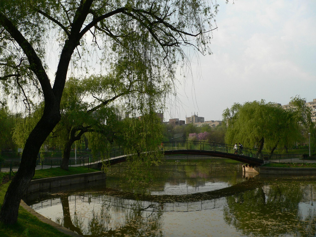 Parcul Morarilor景点图片