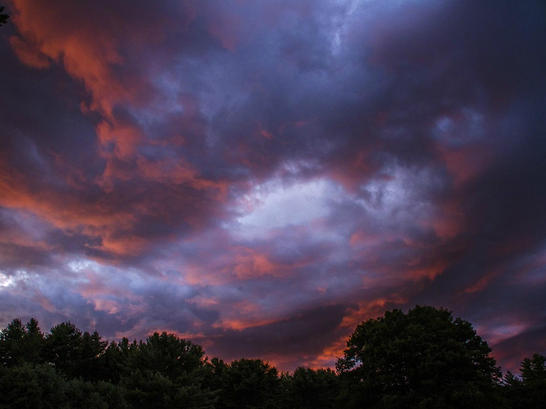 Swan Island Wildlife Management Area-Richmond必去景点